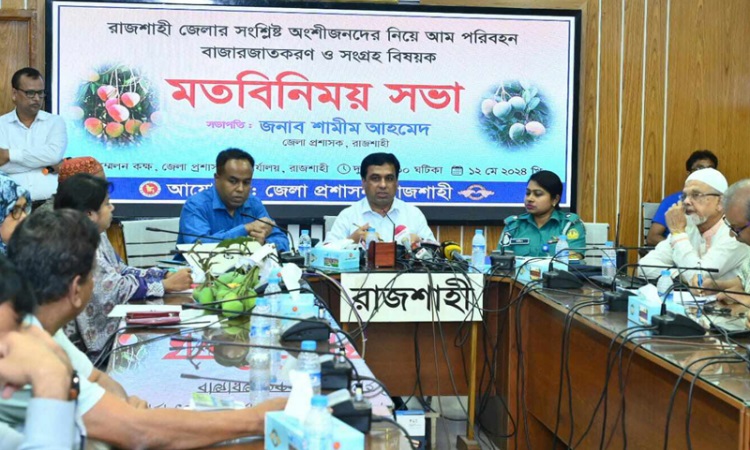 ১৫ মে থেকে বাজারে আসছে রাজশাহীর আম