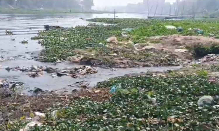 দখল-দূষণে অস্তিত্ব সংকটে তিতাস নদী