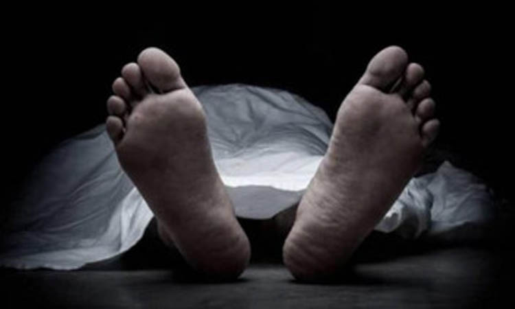 বাগেরহাটে ট্রাকের ধাক্কায় আম ব্যবসায়ী নিহত