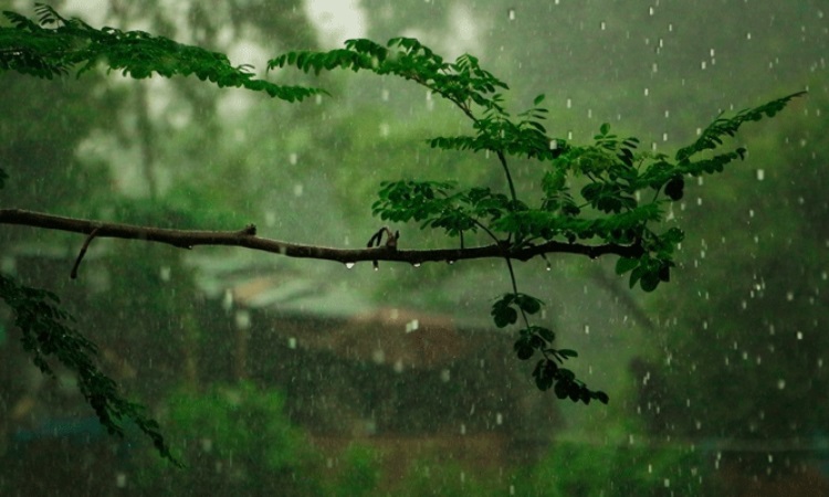 ২৪ ঘণ্টায় দেশের কোথাও বৃষ্টির সম্ভাবনা নেই