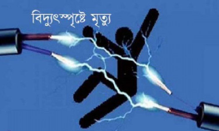 বালিয়াডাঙ্গীতে বিদ্যুৎস্পৃষ্টে কলেজ ছাত্রের মৃত্যু