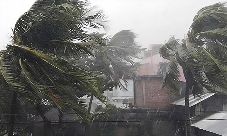 যে বিভাগে বইতে পারে ৮০ কিমি বেগের ঝড়