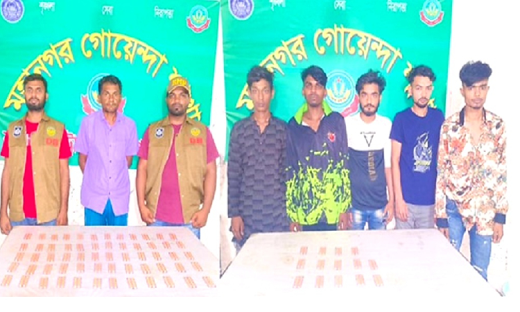 ডিবির পৃথক অভিযানে ট্যাপেন্টাডল ট্যাবলেটসহ গ্রেফতার ৬