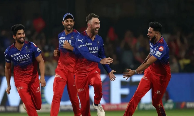 চেন্নাইকে বিদায় করে আইপিএলের প্লে-অফে বেঙ্গালুরু