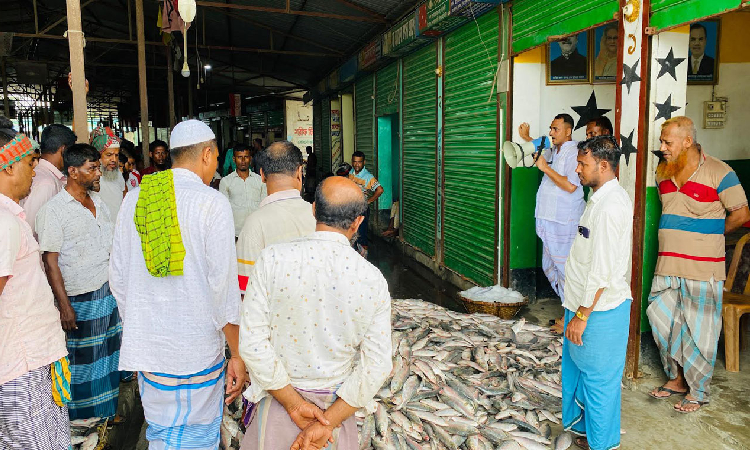 নোয়াখালীতে ৩০ মণ ইলিশ বিক্রি হয়েছে ৬ লাখ টাকায়