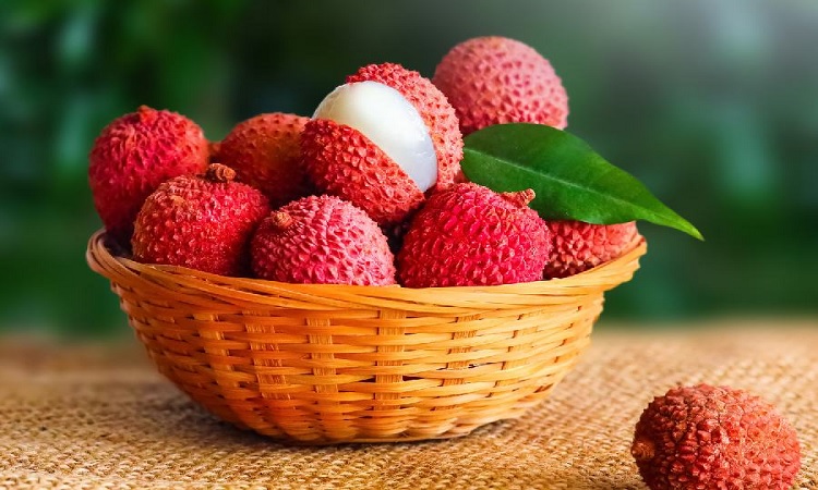 গরমে লিচু খাওয়া কেন প্রয়োজন?