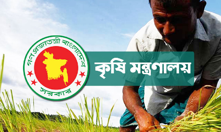 চলতি বছর আমনের উৎপাদন বাড়াতে ৪০ কোটি টাকার প্রণোদনা