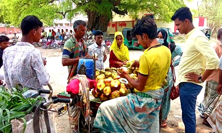 রাজশাহীর বাঘায় গরমে কদর বেড়েছে কচি তালের শাঁসের