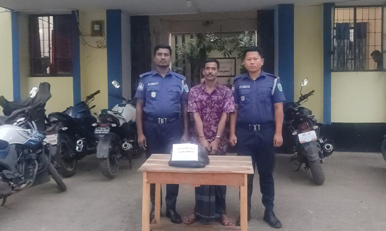 মধ্যনগরে গাঁজাসহ মাদককারবারি গ্রেফতার