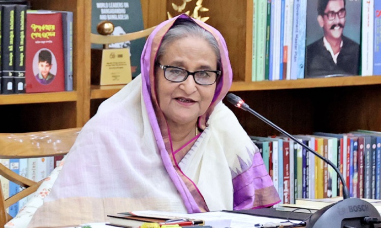 রিজার্ভ নিয়ে চিন্তার কিছু নেই, আপদকালীন খাদ্য মজুত আছে: প্রধানমন্ত্রী