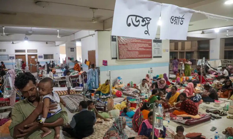 ২৪ ঘণ্টায় ডেঙ্গু আক্রান্ত হয়ে হাসপাতালে ১২