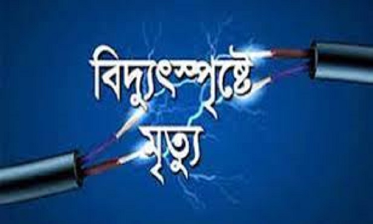 মেহেরপুরে বিদ্যুৎস্পৃষ্টে নারীর মৃত্যু
