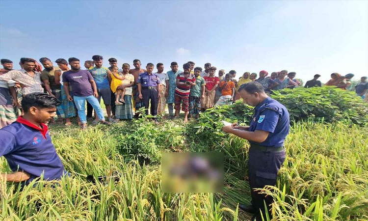 জামালপুরে ধান ক্ষেত থেকে অটোচালকের লাশ উদ্ধার