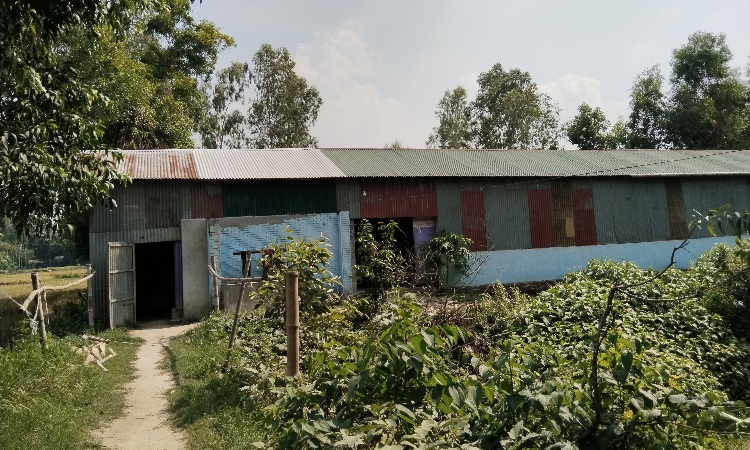 টাঙ্গাইলে ধর্ষণের শিকার প্রতিবন্ধী কিশোরী, ৮ মাসের অন্তস্বত্ত্বা