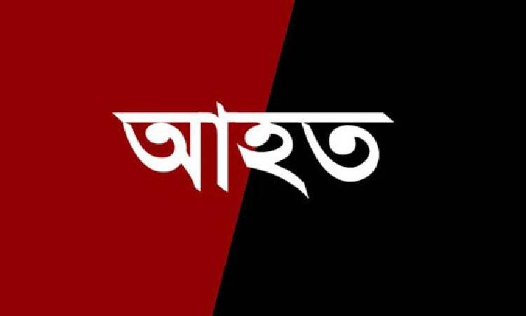 গাছের ডাল ভেঙে মোটরসাইকেল আরোহী আহত