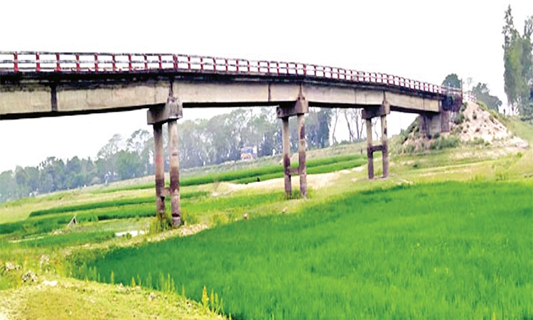 নাব্যতা হারাচ্ছে নেত্রকোণার বেশির ভাগ নদ-নদী, তলদেশে হচ্ছে ধান চাষ