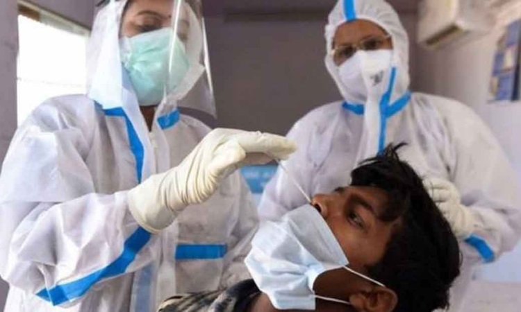 ২৪ ঘণ্টায় ১৩ জনের করোনা শনাক্ত
