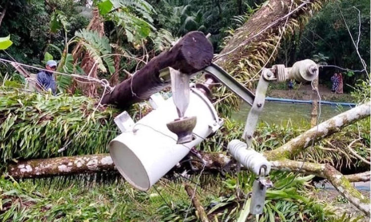 রেমালের তাণ্ডবে সারা দেশে বিদ্যুতের ক্ষতি প্রায় ১০০ কোটি টাকা