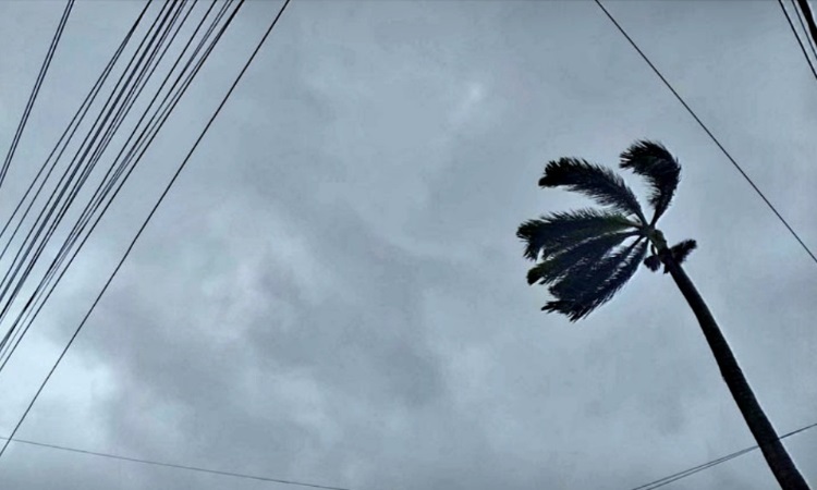 রেমালের প্রভাবে রাজশাহীতে ঝড়বৃষ্টি থাকবে যে কয়দিন