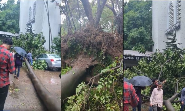 ঢাকায় আগামীকালও ঝড়-বৃষ্টি অব্যাহত থাকবে