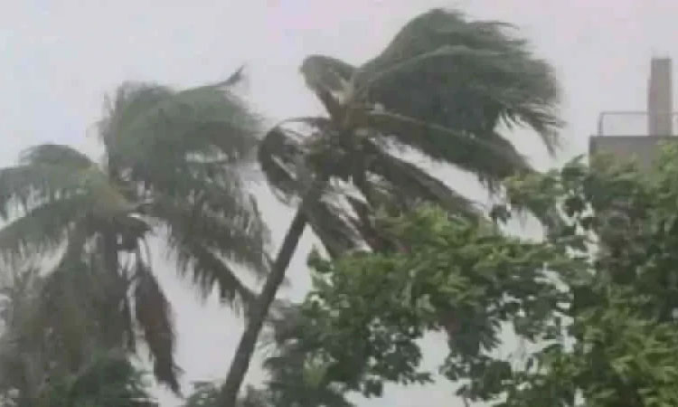 ২০ অঞ্চলে ঝড়ের শঙ্কা, নৌবন্দরে হুঁশিয়ারী সংকেত