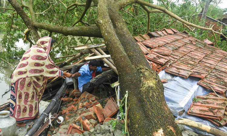 রেমালের তাণ্ডবে পশ্চিমবঙ্গে মৃতের সংখ্যা বেড়ে ৬