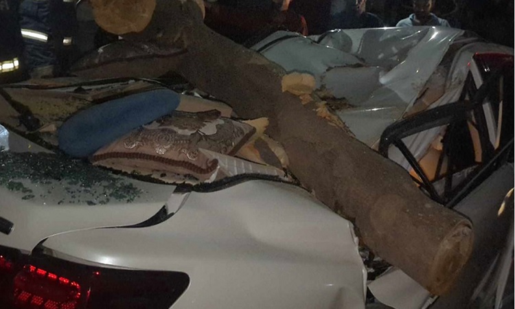 রাজধানীতে গাছ পড়ে দুমড়েমুচড়ে গেল প্রাইভেটকার