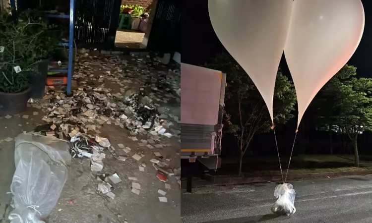 দক্ষিণ কোরিয়াতে ময়লাভর্তি গ্যাস বেলুন পাঠালো উত্তর কোরিয়া