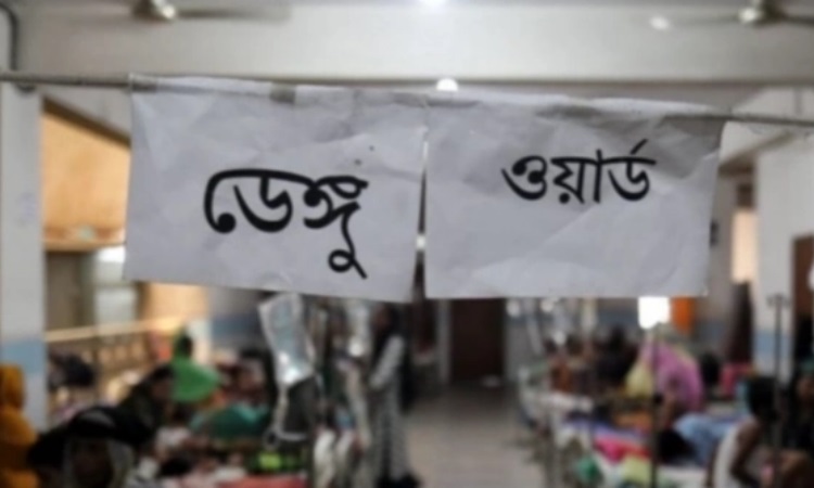 ২৪ ঘণ্টায় ডেঙ্গু আক্রান্ত হয়ে হাসপাতালে ১৫