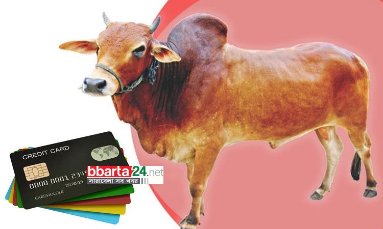 ‘ক্রেডিট কার্ডে কেনা যাবে কোরবানির পশু’