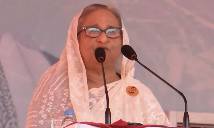 দুর্যোগ মোকাবিলা করেই টিকে থাকতে হবে: প্রধানমন্ত্রী
