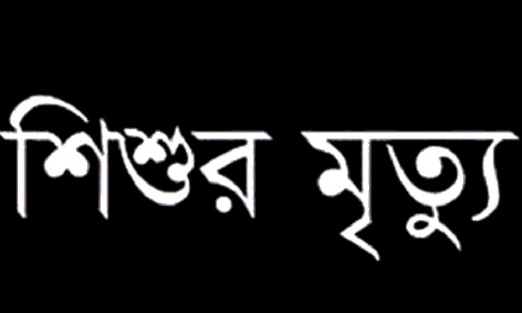 ব্যাটারি চালিত ভ্যানের চাকায় পিষ্ট হয়ে শিশুর মৃত্যু