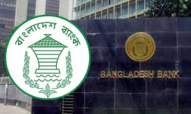 রফতানিমুখী চামড়া পণ্যে নগদ সহায়তা দেওয়ার সিদ্ধান্ত নিয়েছে সরকার