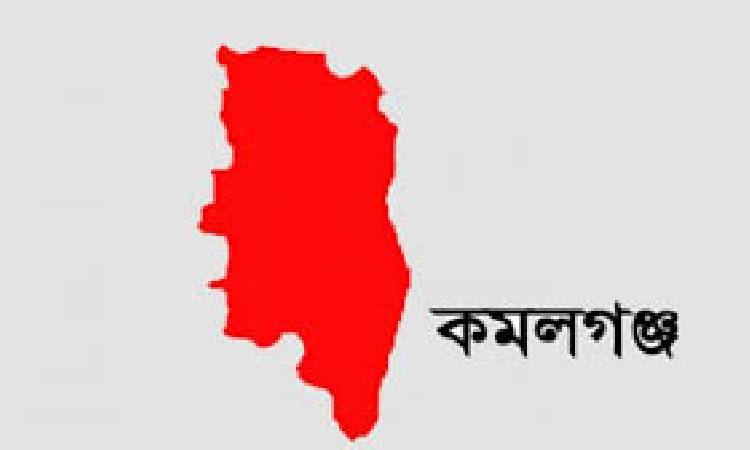 কমলগঞ্জে টিলা ধসে নারী চা শ্রমিকের মৃত্য, আহত ৩
