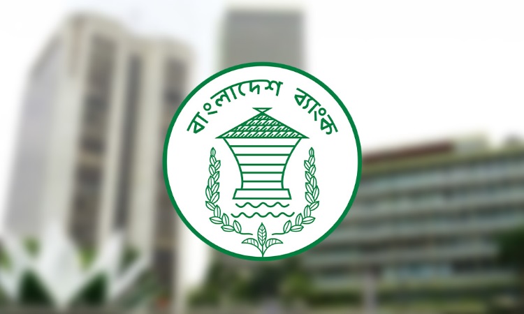 তৈরি চামড়া পণ্য রফতানিতে নগদ সহায়তা দেবে সরকার