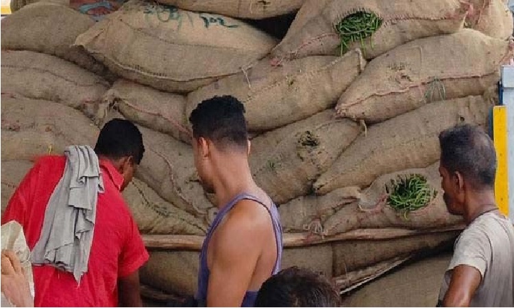 ভারত থেকে দুইদিনে ১২০ টন কাঁচা মরিচ আমদানি