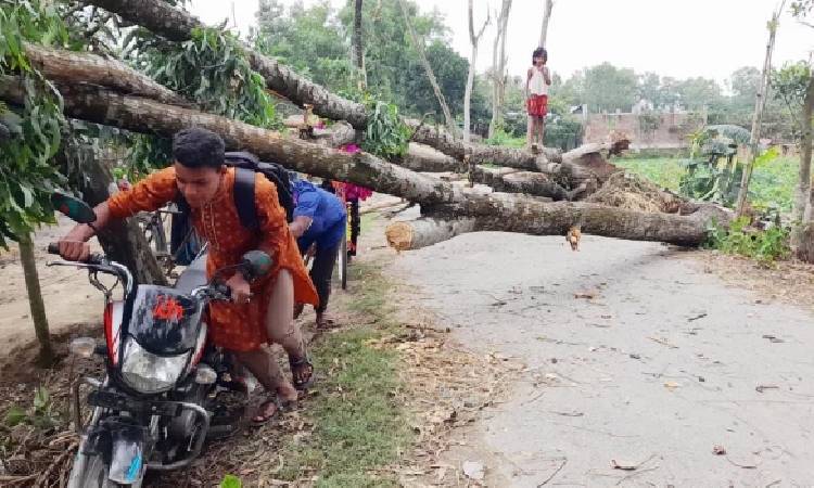 ঠাকুরগাঁওয়ে ঝড়ে লন্ডভন্ড শত শত ঘরবাড়ি, শিশুসহ মৃত্যু ৩