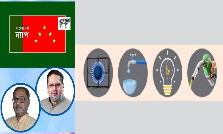মূল্য সমন্বয়ের নামে জনগণের সঙ্গে প্রতারণা করেছে সরকার: বাংলাদেশ ন্যাপ