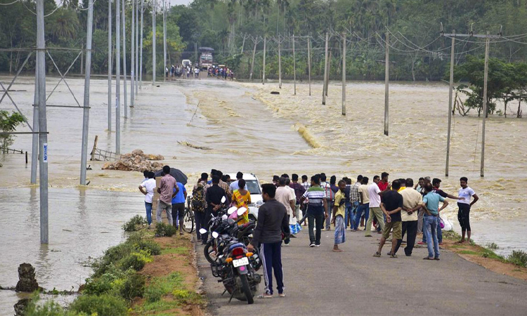 আসামে বন্যায় ক্ষতিগ্রস্ত ৬ লাখের বেশি মানুষ, মৃত বেড়ে ১৫