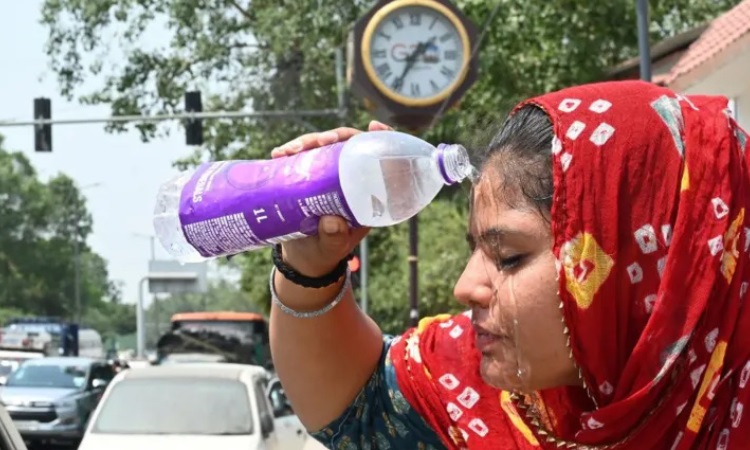 তীব্র তাপদাহে ভারতে একদিনে ৮৫ জনের মৃত্যু