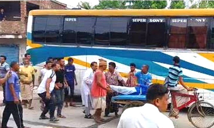 রাজশাহী বাঘায় ট্রাকের ধাক্কায় স্কুলছাত্রী আহত