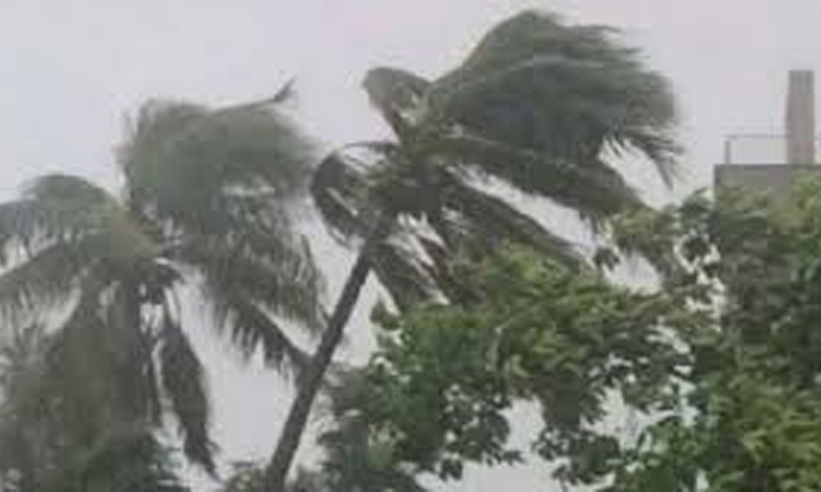 ৯ অঞ্চলে সর্বোচ্চ ৬০ কিলোমিটার বেগে ঝড়ের আশঙ্কা
