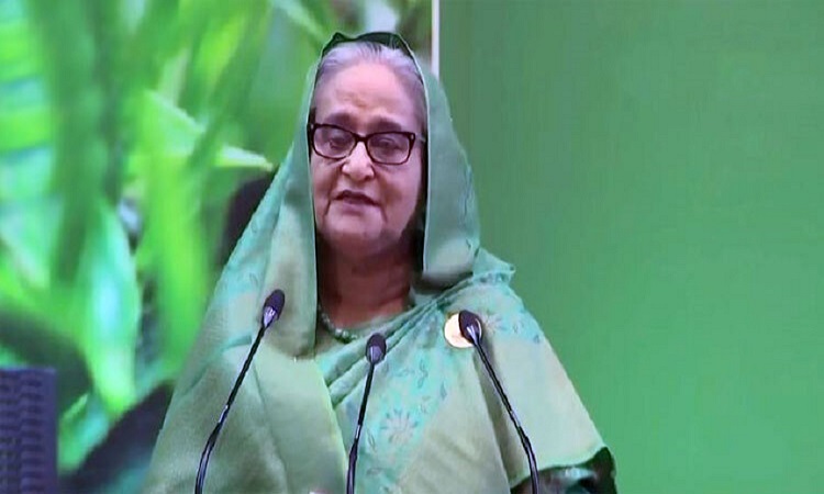 বিভিন্ন ফ্লেভারে চা বাজারজাত করার তাগিদ প্রধানমন্ত্রীর
