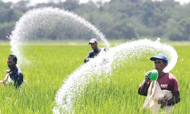 তিন দেশ থেকে ৩৯৮ কোটি টাকার সার কেনার অনুমোদন