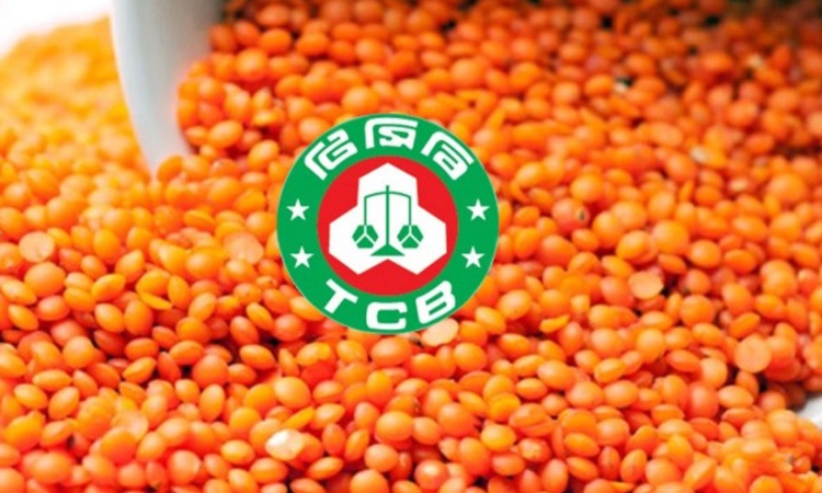 টিসিবির জন্য ৬০ কোটি টাকার মসুর ডাল কিনবে সরকার