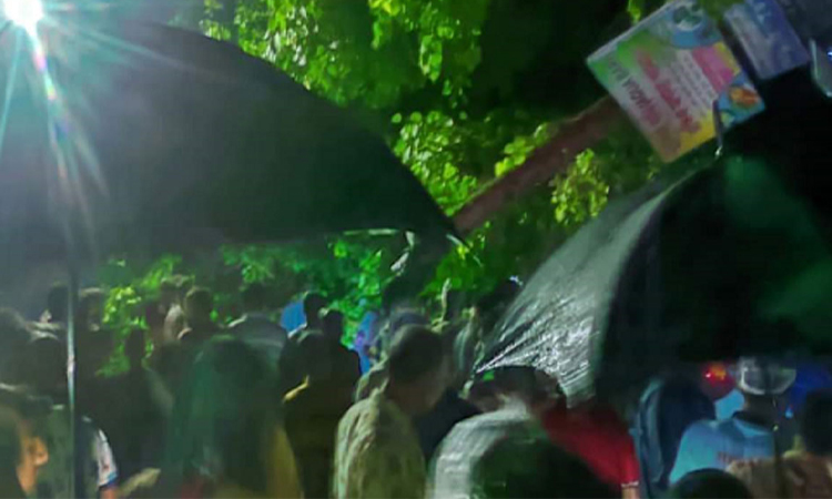 ঝড়ে উপড়ে পড়া গাছ চাপায় দুই জনের মৃত্যু