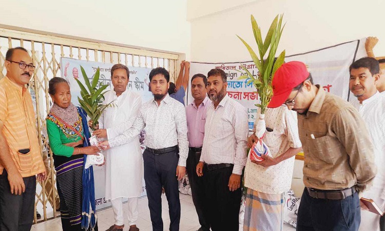 লামায় বিশ্ব পরিবেশ দিবসে গাছের চারা বিতরণ