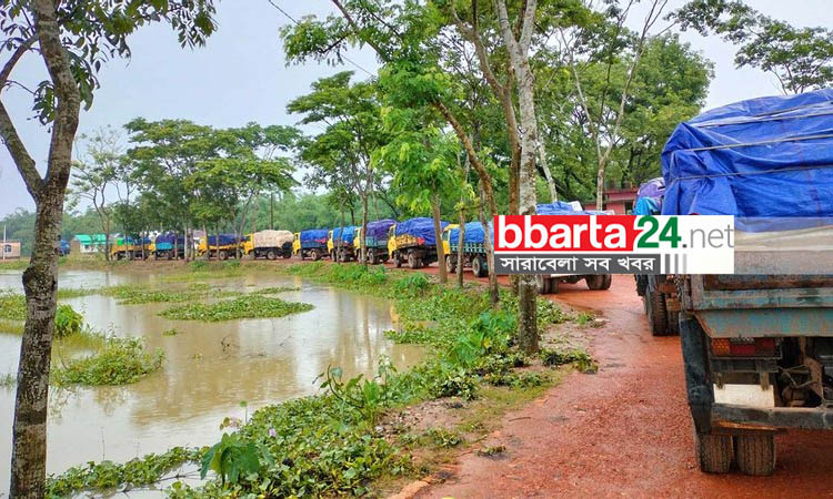 চোরাইপথে আসা ভারতীয় চিনির বড় চালান জব্দ