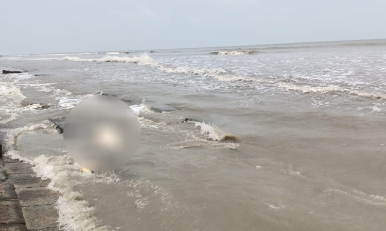 মৃত ডলফিন ভেসে এলো কুয়াকাটা সৈকতে