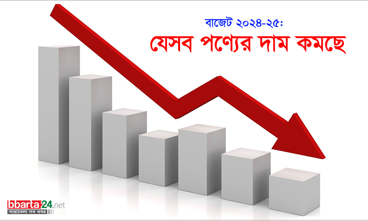 বাজেট ২০২৪-২৫: যেসব পণ্যের দাম কমছে